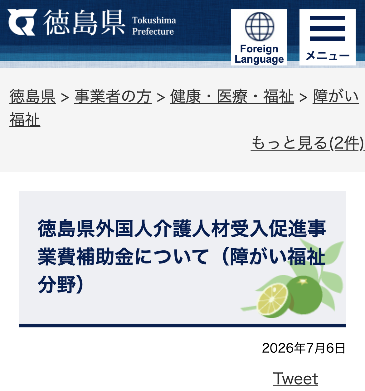 徳島県外国人介護人材受入促進事業費補助金について（障がい福祉分野）のスクリーンショット