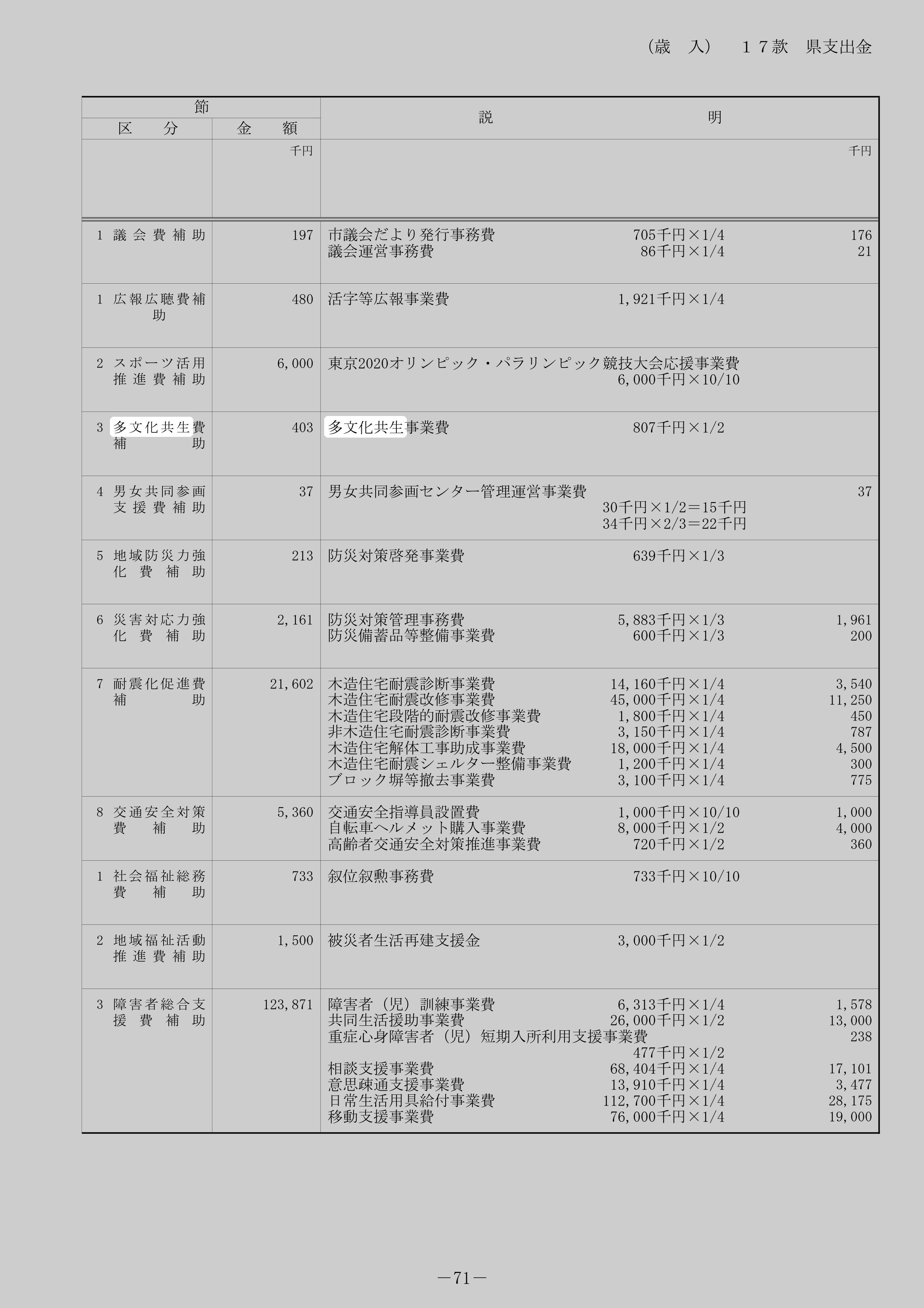 多文化共生事業費（県補助）のスクリーンショット