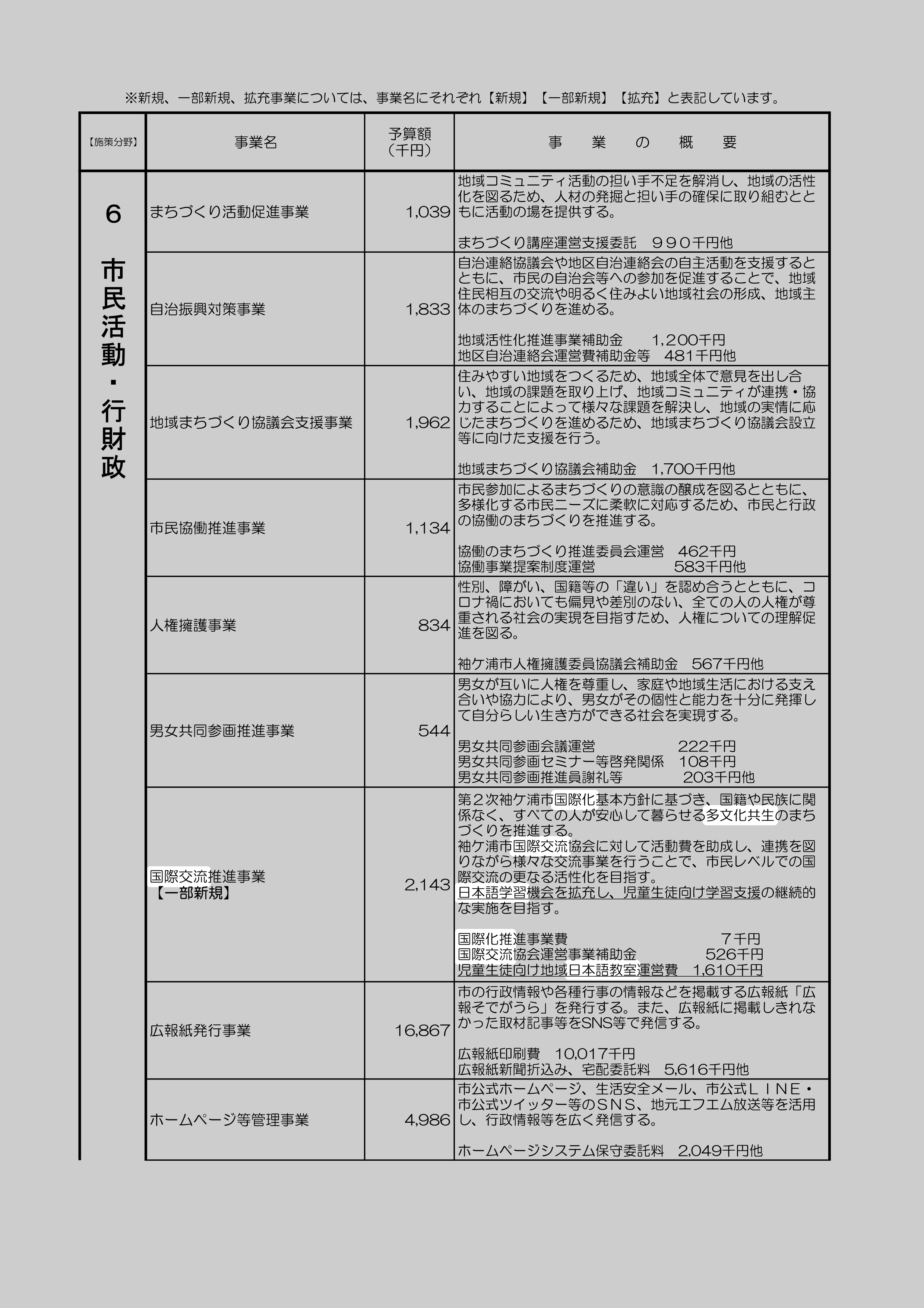 国際交流推進事業【一部新規】のスクリーンショット